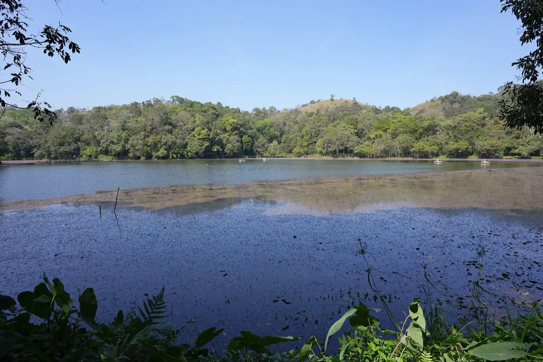 Pookode Lake ringed by evergreen forest, Wayanad